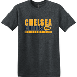 Chelsea Chiefs Softstyle T-Shirt
