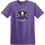 Lady Badgers Softstyle T-Shirt