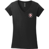 Westchester Express Softstyle Ladies Fit V-Neck T-Shirt