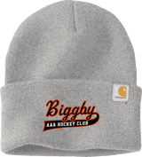 Biggby Coffee AAA Carhartt Watch Cap 2.0