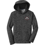 Scary Badgers Youth PosiCharge Electric Heather Fleece Hooded Pullover