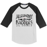 Allegheny Badgers Youth Colorblock Raglan Jersey